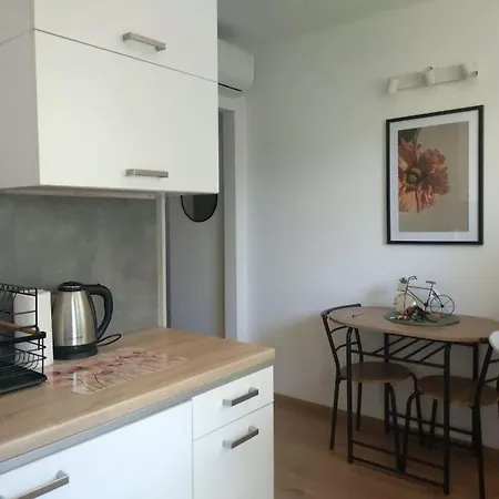 Apartament Wiosenny - 7 Min Od Dworca Przemysl Exterior photo